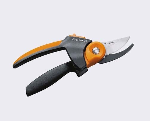 Pruning Shears