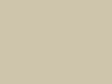 Beige Paint Color