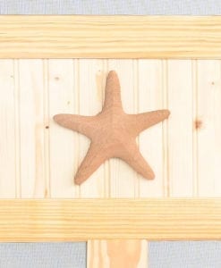 Starfish Medallion Wood Door View